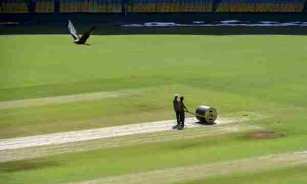 3. Sky Stadium pitch report 