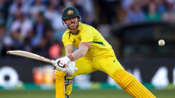 David Warner century celebration