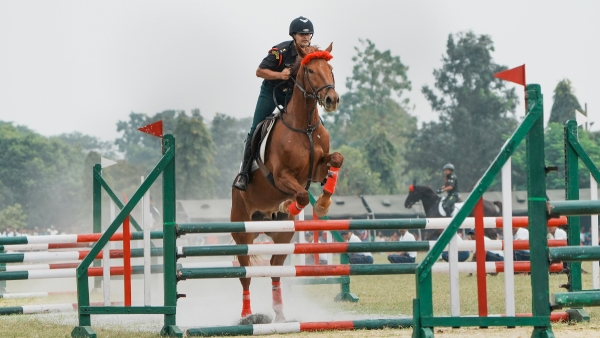 India at Asian Games 2023: Equestrian team lose medal round on October 2 (Image: For Representational Purpose Only)