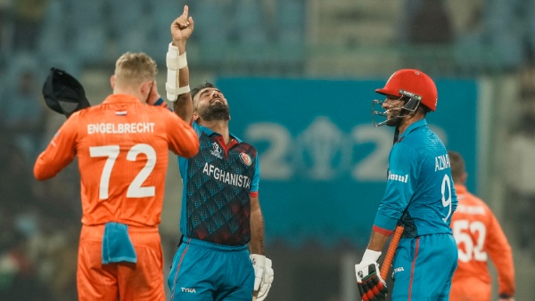 who-won-yesterday-world-cup-2023-match-afghanistan-vs-netherlands-november-3-hashmatullah-shahidi-azmatullah-omarzai