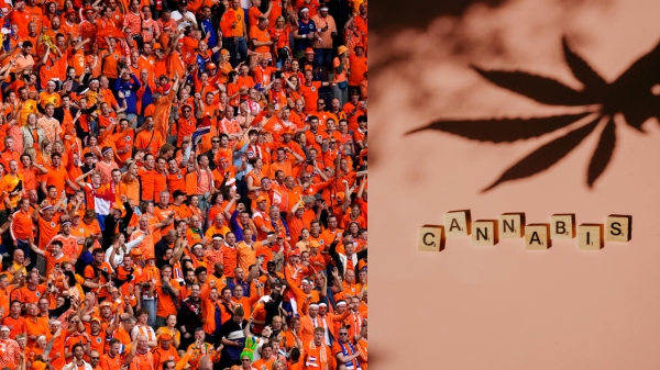 Euro 2024 Marijuna Rules in Stadium Euro 2024 Marijuna Rules in Stadium