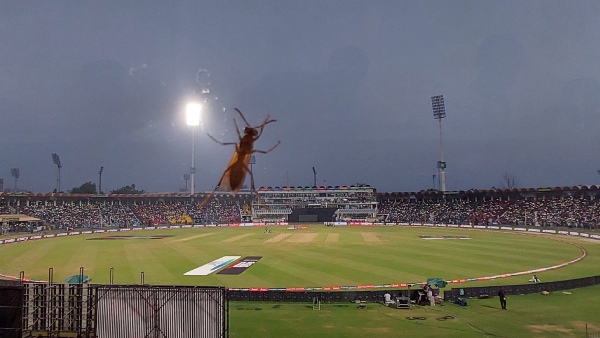 iccs-big-move-suggests-india-matches-in-champions-trophy-2025-will-not-be-played-in-pakistan