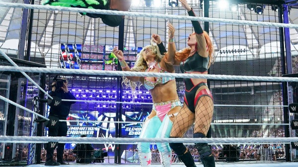 WWE Elimination Chamber image courtesy WWE com