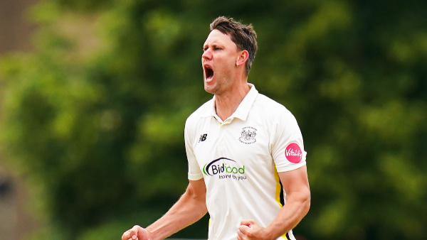 beau-webster-600-1732810712