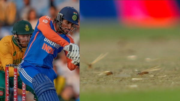 Insects Stop Play Flying Ants suspend match in Centurion - When will it Start