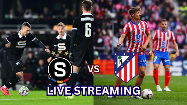 newproject4-1732641106