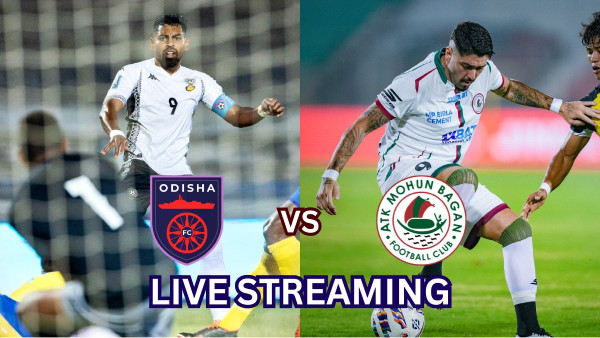 ofc-mbsg-600-1731238583