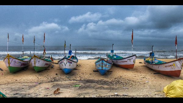 Cook Praises Indias Brave Batting Strategy