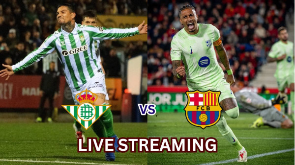 newproject2-1733564475