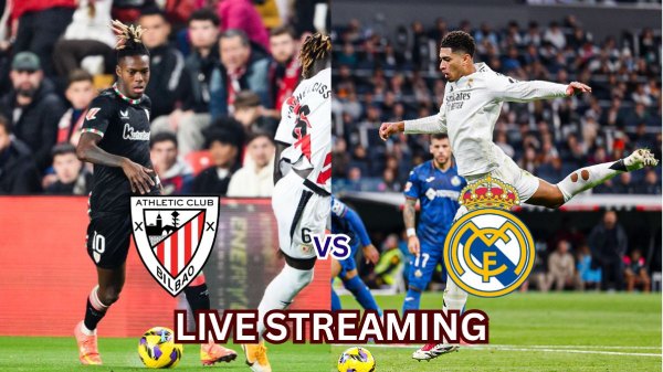 newproject5-1733338925