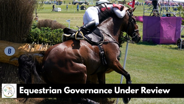 Equestrian federation of India under high court review