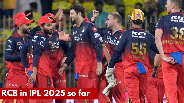 RCB IPL 2025 After Defeating CSK Complete Players Statistics Standings Schedule Result RCB IPL 2025 After Defeating CSK Complete Players Statistics Standings Schedule Result