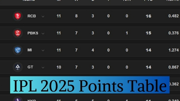 IPL 2025 Points Table