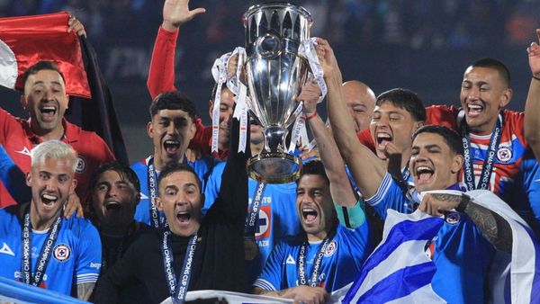 Sanchez Thanks Fans After Champions Cup Win