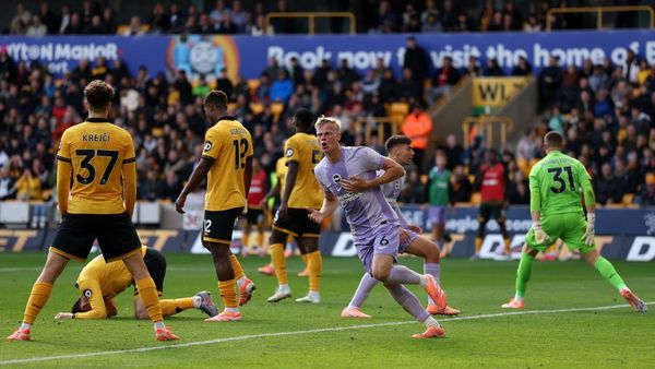 Wolves Draw with Brighton After Late Goal