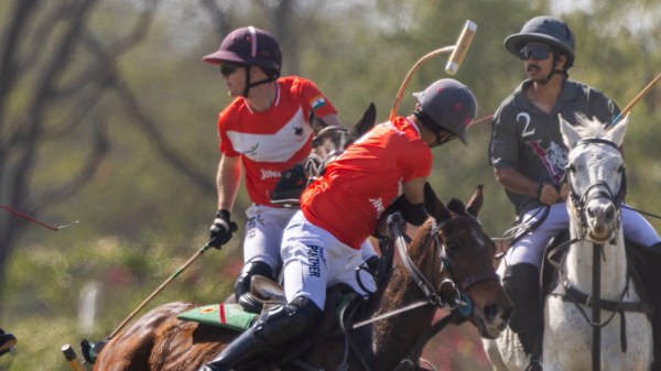 Jindal Bedla vs V Polo Jindal Bedla vs V Polo