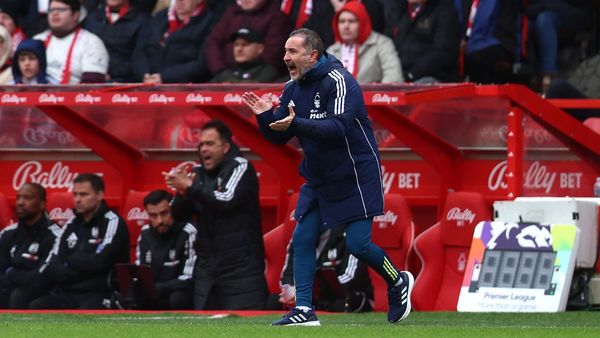 Pereira Focuses on Forest's Survival