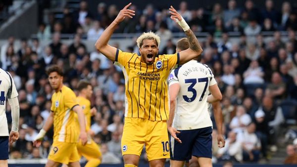 Brighton eye Europe after Spurs draw