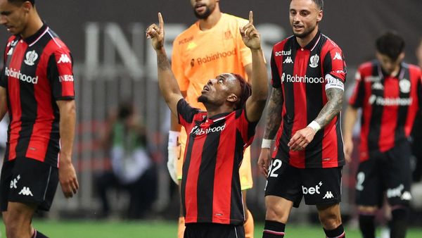 Nice win keeps Ligue 1 status Nice win keeps Ligue 1 status