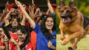 IPL 2024: ಚಿನ್ನಸ್ವಾಮಿಯಲ್ಲಿ ಡಾಗ್ ಔಟ್ ವಲಯ ನಿರ್ಮಾಣ? ಇದರ ಲಾಭವೇನು? IPL 2024: ಚಿನ್ನಸ್ವಾಮಿಯಲ್ಲಿ ಡಾಗ್ ಔಟ್ ವಲಯ ನಿರ್ಮಾಣ? ಇದರ ಲಾಭವೇನು?