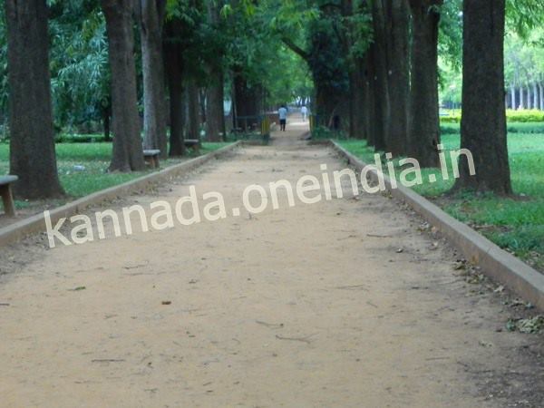 ಸಿಎಲ್ಟಿ20: ವಾಹನ ನಿಲುಗಡೆ, ನಿಷೇಧ ಎಲ್ಲೆಲ್ಲಿ?