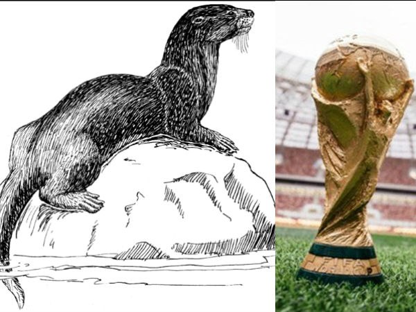 FIFA World Cup 2018 : Sochi oracle otter picks Russia as win over Egypt 
