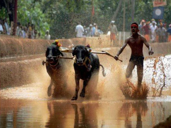 ಪ್ರತಿ ವರ್ಷವೂ ಕರಾವಳಿಯಲ್ಲಿ ಈ ಸುದ್ಧಿ