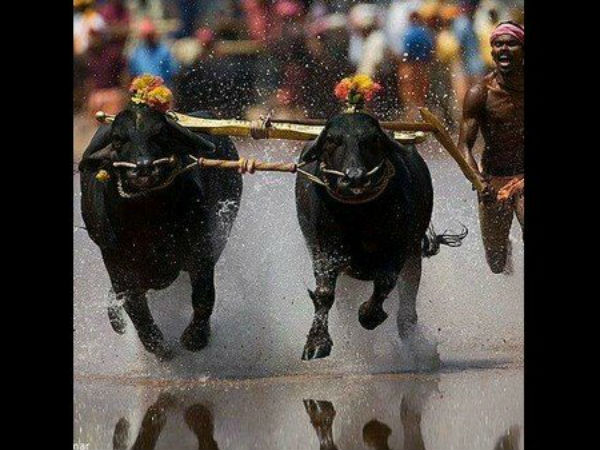 ಓಟಗಾರರಿಗೆ ಪ್ರೋತ್ಸಾಹ ಅಗತ್ಯ