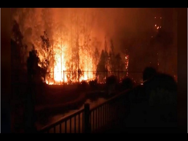 ಆಸ್ಟ್ರೇಲಿಯಾ ಕಾಡ್ಗಿಚ್ಚು 