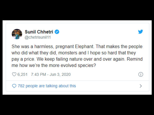 ನಿರುಪದ್ರವಿ ಗರ್ಭಿಣಿ ಆನೆ