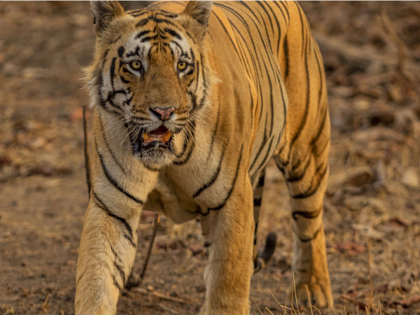 ಸುಂದರ ಛಾಯಾಚಿತ್ರಗಳು