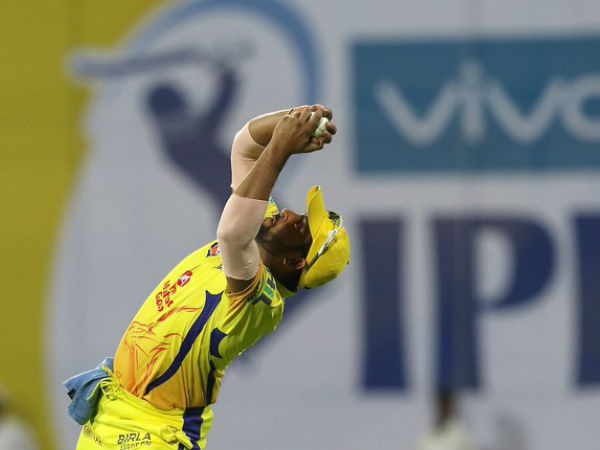 ರೈನಾ ಯುಎಇಯಿಂದ ಭಾರತಕ್ಕೆ