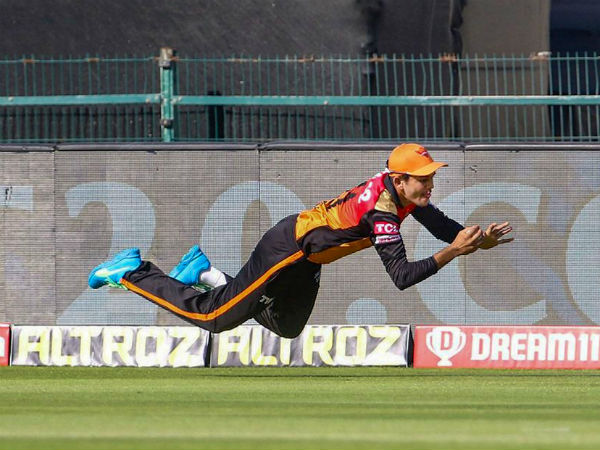 ಮಿಂಚಿದ ಫರ್ಗ್ಯೂಸನ್