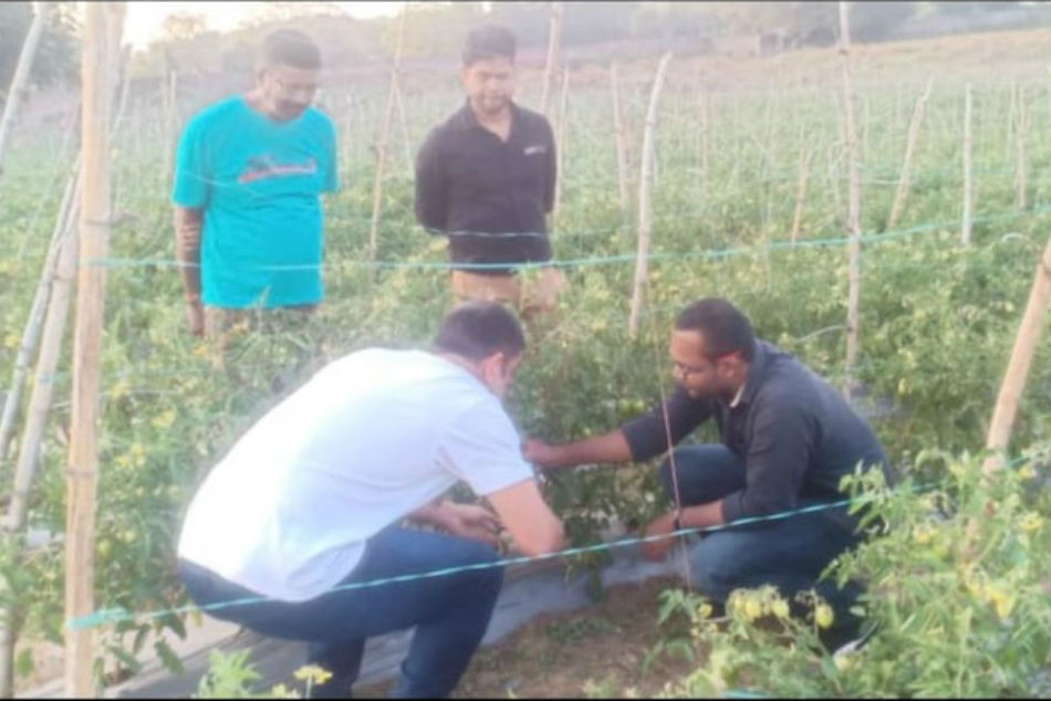 MS Dhonis farm vegetables set to be sent to abroad MS Dhonis farm vegetables set to be sent to abroad