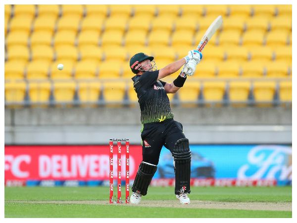 ಸಿಡಿದ ಫಿಲಿಪ್ಪೆ-ಫಿಂಚ್