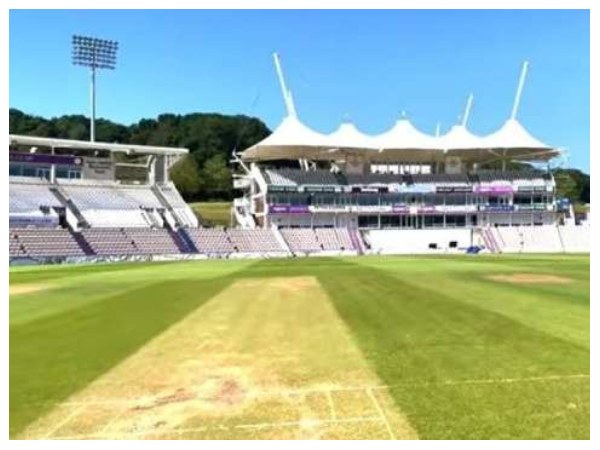 ಪಿಚ್ ರಿಪೋರ್ಟ್ ಪಿಚ್ ರಿಪೋರ್ಟ್