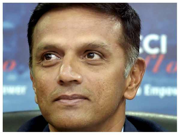 ಹುಲಿ ನೋಡುವ ಬದಲು, ರಾಹುಲ್ ದ್ರಾವಿಡ್‌ರನ್ನ ಕ್ಯಾಮೆರಾದಿಂದ ಸೆರೆ!