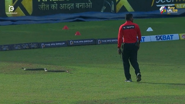 LPL 2023: Lanka Premier League Match Was Halted For Some Time For Snake Appearance