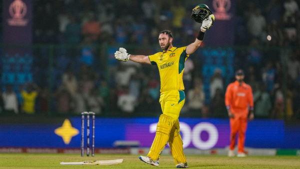 ICC World Cup 2023: Australia Beat Netherlands By 309 Huge Runs In 24th Match
