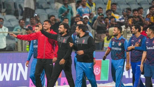 World Cup 2023: Afghanistan vs Netherlands Match Details, Head-to-head Record; Probable Playing 11