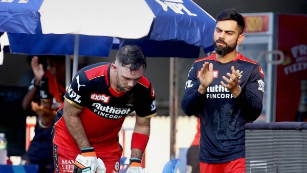 Kohli to Green: Head Coach Andy Flower Reveals RCBs Top 5 Players for IPL 2024