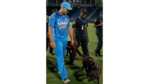 MS Dhonis with Horse viral video is making noise on social media