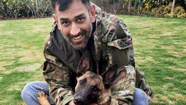 MS Dhonis with Horse viral video is making noise on social media