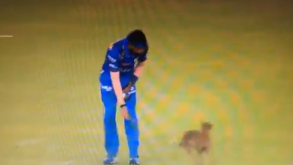 MI vs GT IPL Match Spectators Chant Hardik Hardik After Looking at Dog Running Inside the stadium