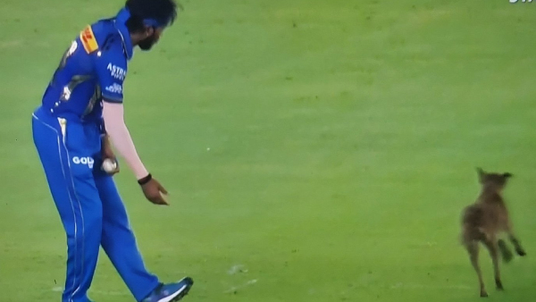 MI vs GT IPL Match Spectators Chant Hardik Hardik After Looking at Dog Running Inside the stadium