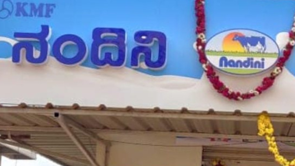 T20 World Cup 2024 Nandini Milk Logo Features on Scotland And Ireland Team s Jerseys