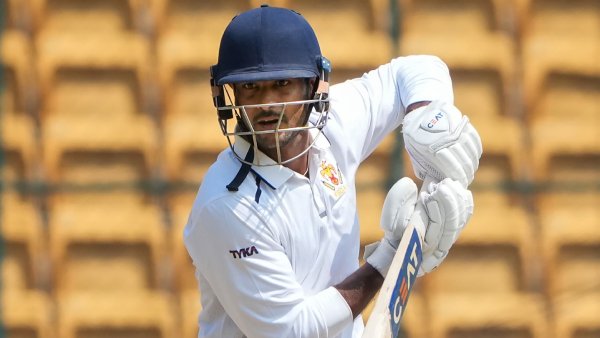 Vastu Shastra Which bird s feather is auspicious if it is in the house