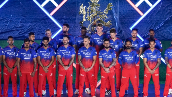 Maxwell Shines as Melbourne Stars Qualify Reminding Fans of RCB s Spirit