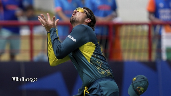 RCB s New Star Tim David Shines with 68 to Lead Hobart Hurricanes to Win RCB s New Star Tim David Shines with 68 to Lead Hobart Hurricanes to Win