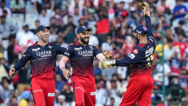 Grok AI Predicts RCB s IPL 2025 Title Chances Highlights Team s Strengths and Weaknesses